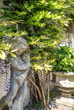 Images for High Street, Ripley, Surrey
