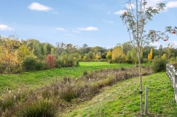 Images for Sycamore Road, Cranleigh, Surrey