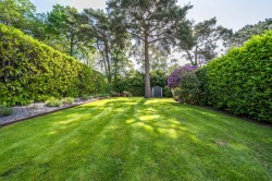 Images for Pine Tree Hill, Pyrford, Surrey