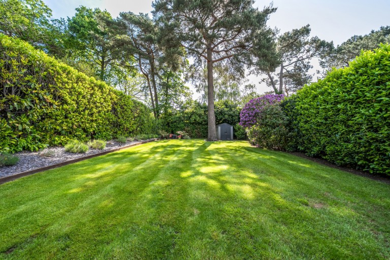 Images for Pine Tree Hill, Pyrford, Surrey