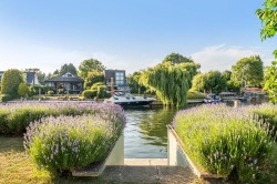 Images for Hamhaugh Island, Shepperton, Surrey