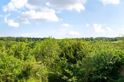 Images for Shere Road, West Horsley, Surrey