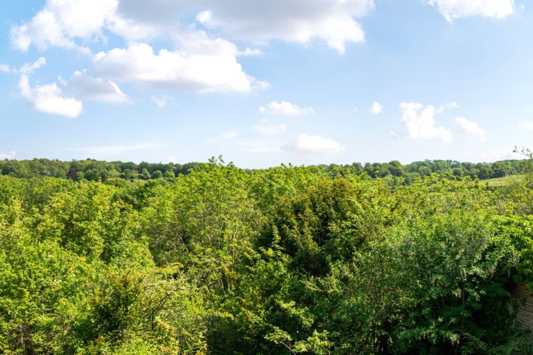 Images for Shere Road, West Horsley, Surrey