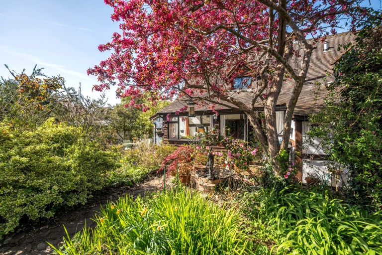 Images for Ripley, Woking, Surrey