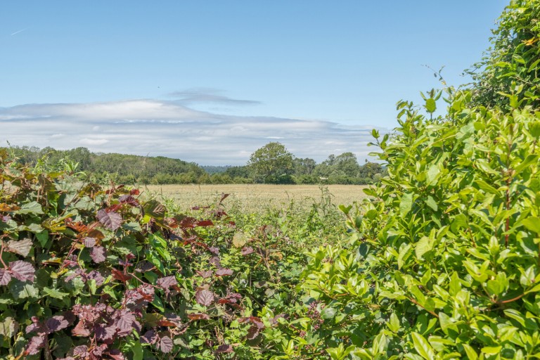 Images for Westwood Lane, Wanborough, Surrey