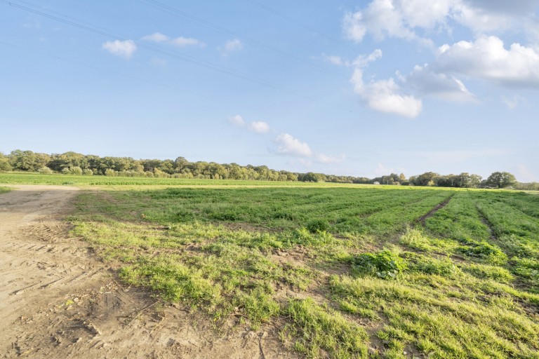 Images for Old Common Road, Cobham, Surrey