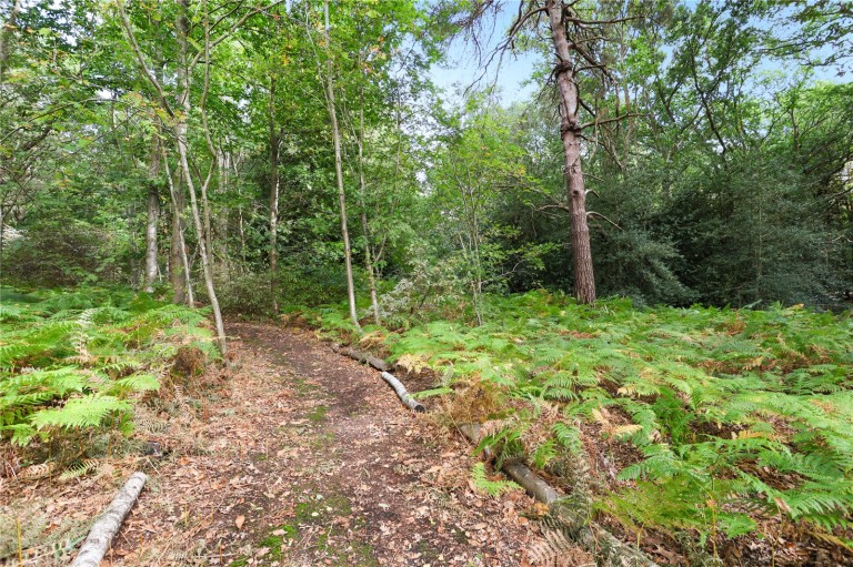 Images for Longcross Road, Longcross, Surrey