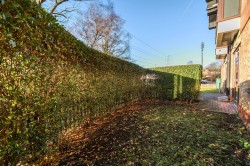 Images for Hanworth Lane, Chertsey, Surrey