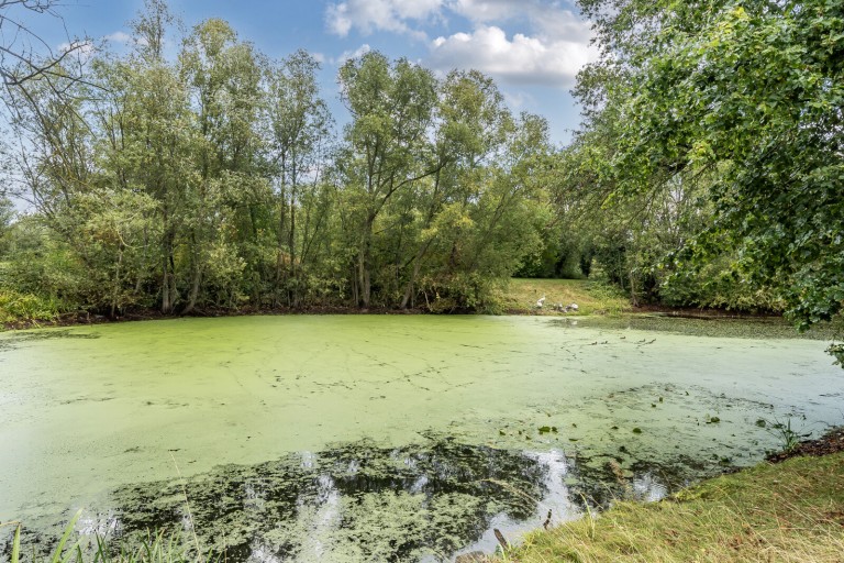 Images for St. Nicholas Drive, Shepperton, Surrey