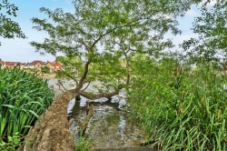 Images for Laleham Reach, Chertsey, Surrey