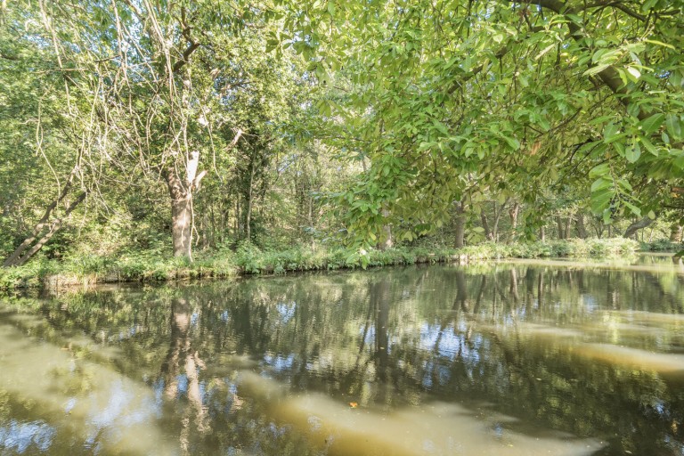 Images for Salisbury Place, West Byfleet, Surrey