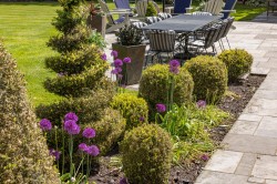 Images for Forest Road, Pyrford, Surrey