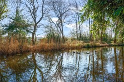 Images for Lynwood Close, Woodham, Surrey