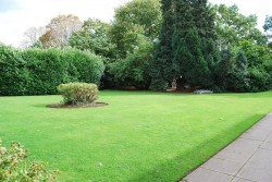 Images for Brantwood Gardens, West Byfleet, Surrey