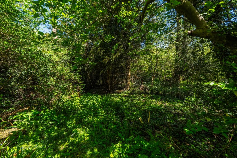 Images for Woodlands Avenue, West Byfleet, Surrey