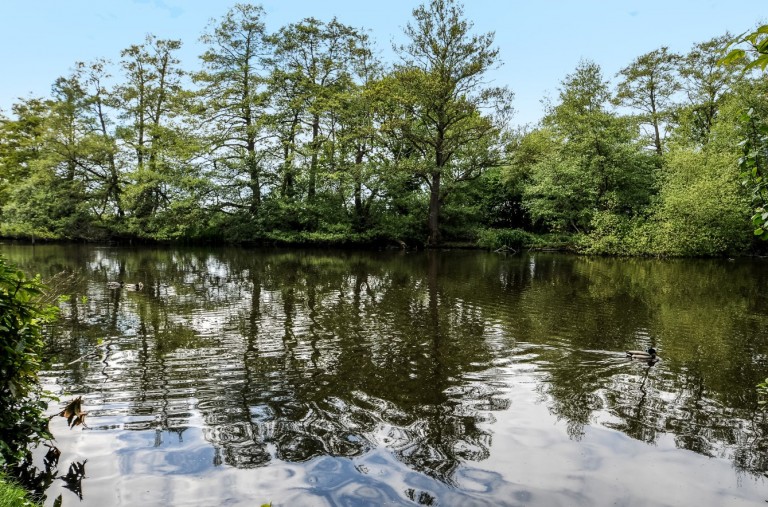 Images for Mallards Reach, Weybridge, Surrey