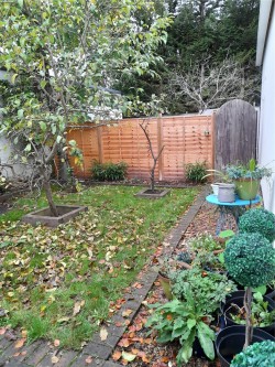 Images for Weybridge, Surrey