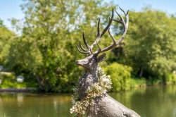 Images for Hamm Court, Weybridge, Surrey