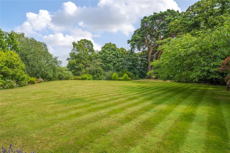 Images for Tor Lane, St George's Hill, Surrey