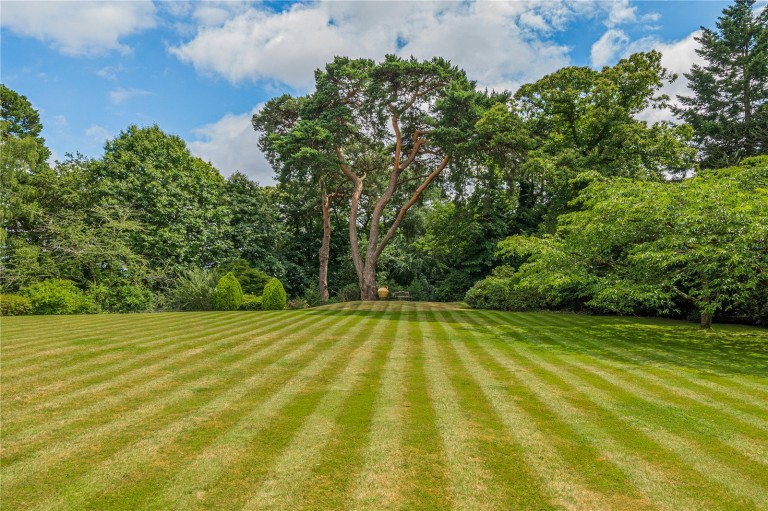 Images for Tor Lane, St George's Hill, Surrey
