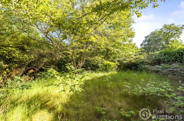 Images for Pine Grove, Weybridge, Surrey