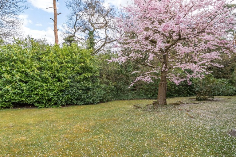 Images for Hillbrook Gardens, Weybridge, Surrey