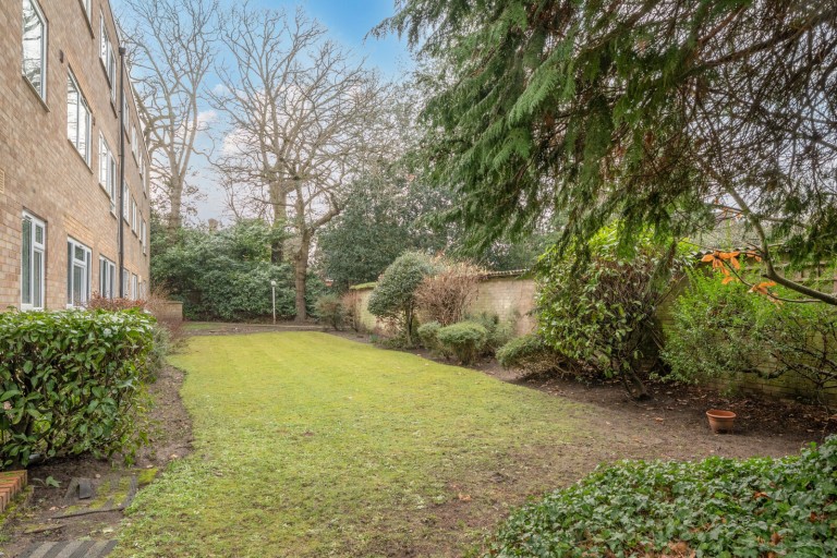 Images for Pine Grove, Weybridge, Surrey
