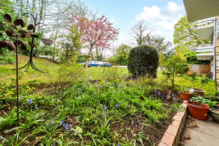Images for Pine Grove, Weybridge, Surrey