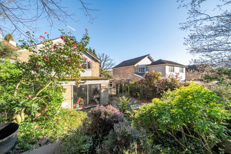 Images for Woking, Surrey