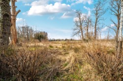 Images for Mill Lane, Pirbright, GU24