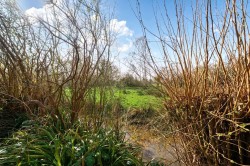 Images for Old Woking, Woking, Surrey