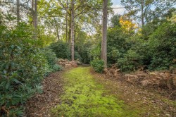 Images for Clodhouse Hill, Worplesdon, Surrey