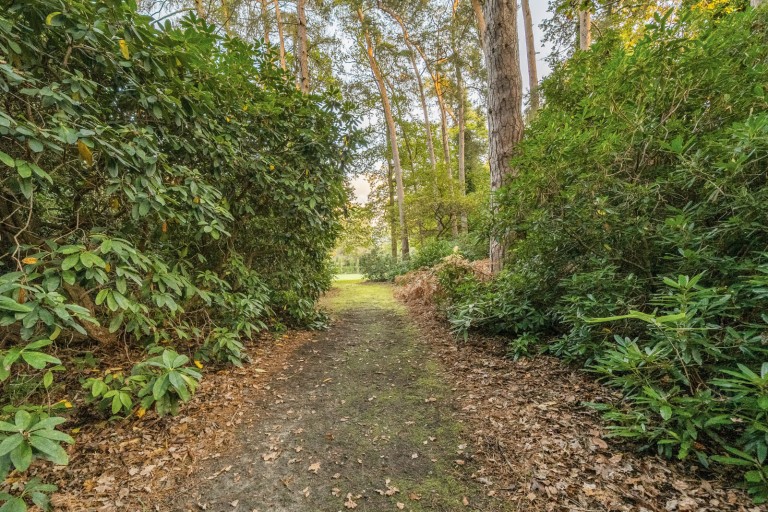 Images for Clodhouse Hill, Worplesdon, Surrey