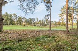 Images for Clodhouse Hill, Worplesdon, Surrey