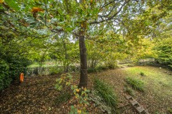Images for Vale Farm Road, Woking, Surrey