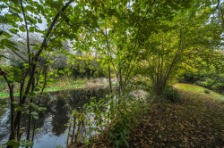 Images for Vale Farm Road, Woking, Surrey
