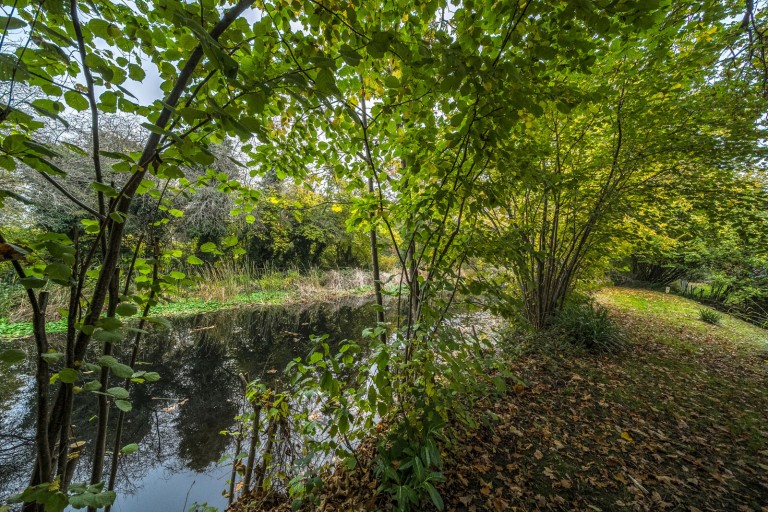 Images for Vale Farm Road, Woking, Surrey