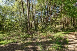 Images for Worplesdon, Woking, Surrey