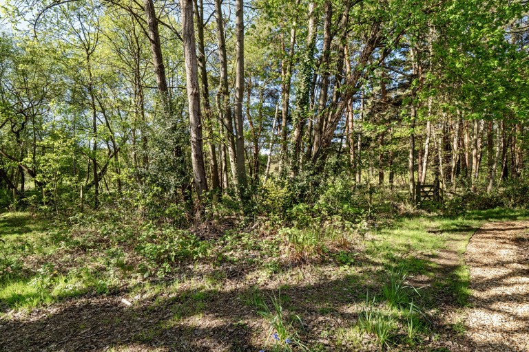 Images for Worplesdon, Woking, Surrey