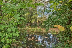 Images for St Johns, Woking