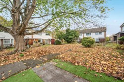 Images for St Johns, Woking