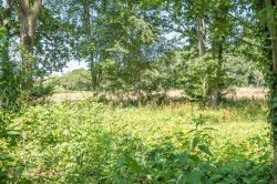 Images for Vapery Lane, Pirbright, Surrey