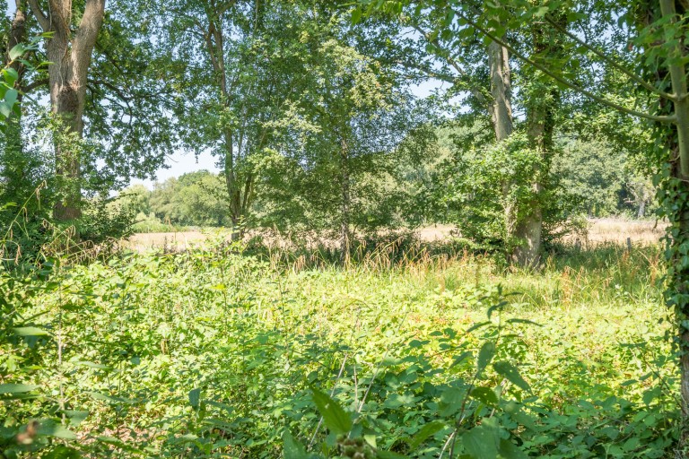 Images for Vapery Lane, Pirbright, Surrey