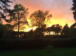 Images for Hook Heath Road, Woking