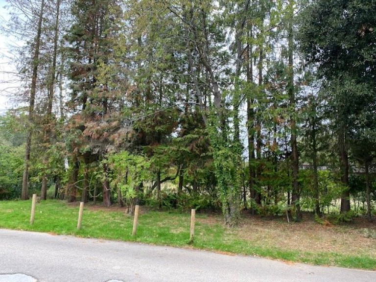 Images for Onslow Road, Burwood Park, Walton-On-Thames