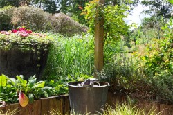 Images for Onslow Road, Burwood Park, Walton-On-Thames