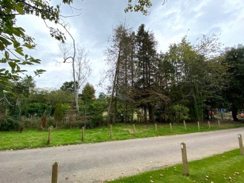 Click the photo for more details of Onslow Road, Burwood Park, KT12