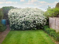 Images for Heathfield Road, Hersham, Walton-On-Thames