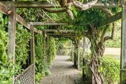 Images for Silverdale Avenue, Walton-On-Thames, Surrey