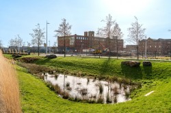 Images for Carstairs Street, Dalmarnock